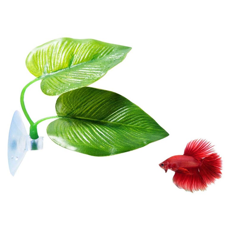 CousDUoBe 1 Pack Betta Fish Leaf Pad Improves Betta's Health by Simulating The Natural Habitat - Natural, Organic, Comfortable Rest Area for Fish Aquarium Ornaments - Image 1